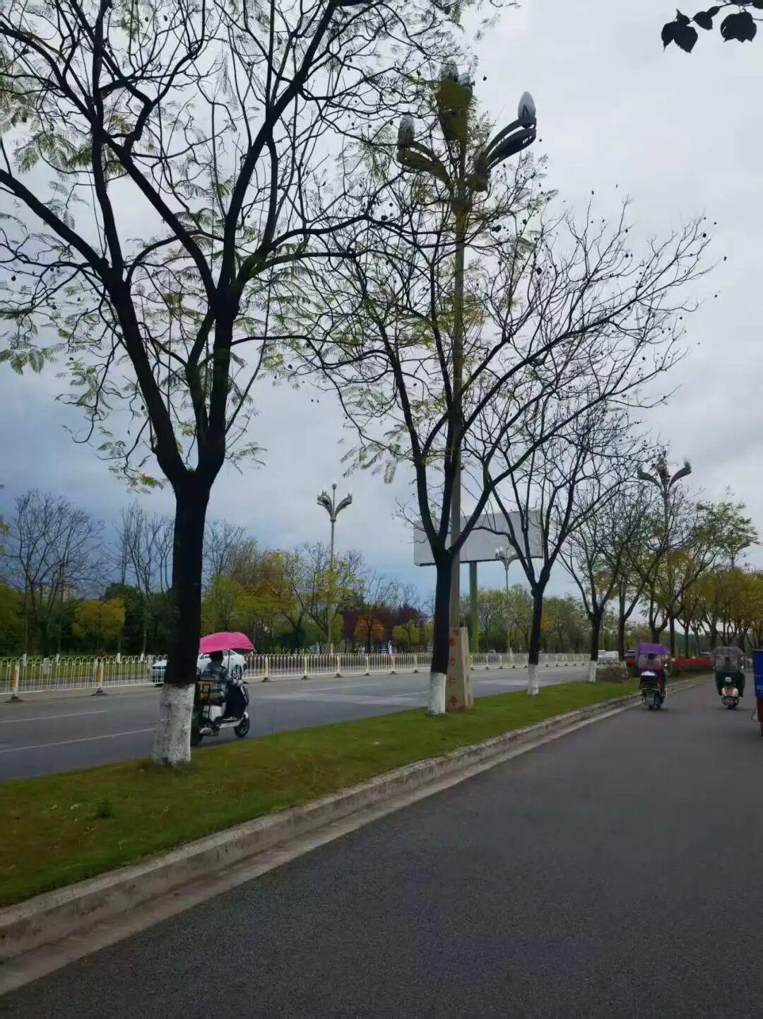 v体育-为什么有2万人来仁寿跑马拉松？
