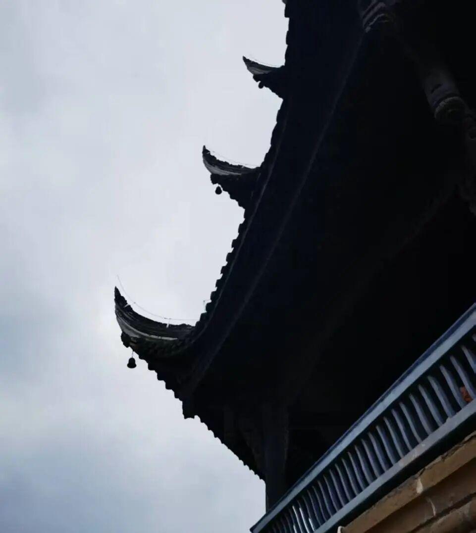 v体育-为什么有2万人来仁寿跑马拉松？
