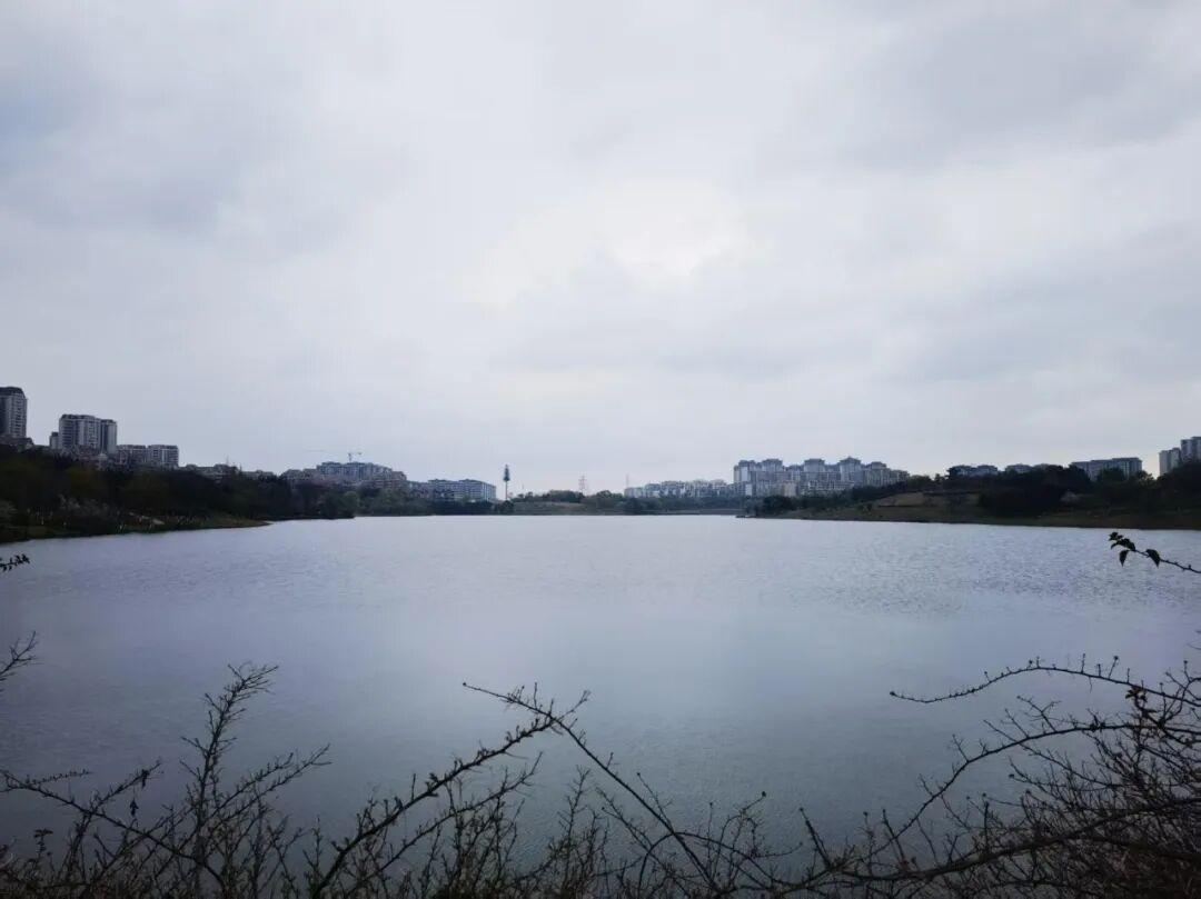 v体育-为什么有2万人来仁寿跑马拉松？