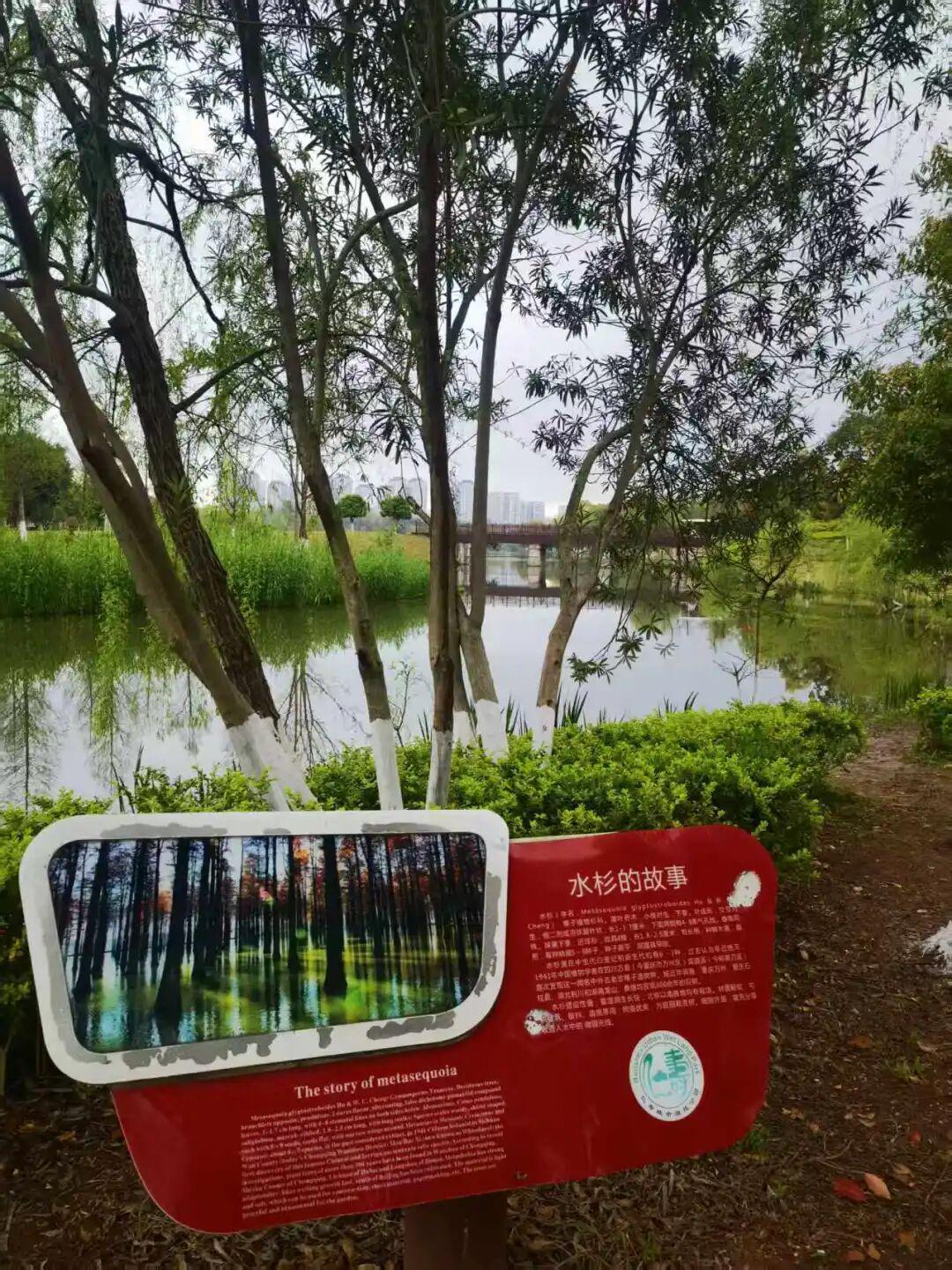 v体育-为什么有2万人来仁寿跑马拉松？